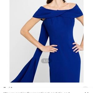 Stunning Rickie Freeman for Teri Jon perfect retail 800.